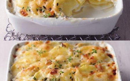 Kartoffelgratin