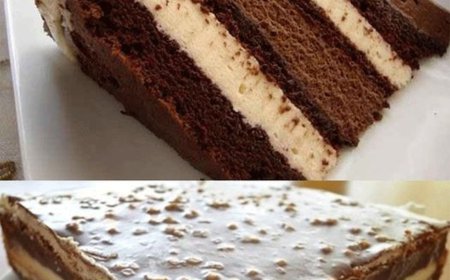 Köstliche Schoko Mascarpone Torte Rezept