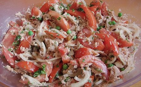 Leichter und leckerer Thunfisch Tomaten  Salat fettarm, schnelle Zubereitung