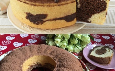 Tiramisu lecker Gugelhupf