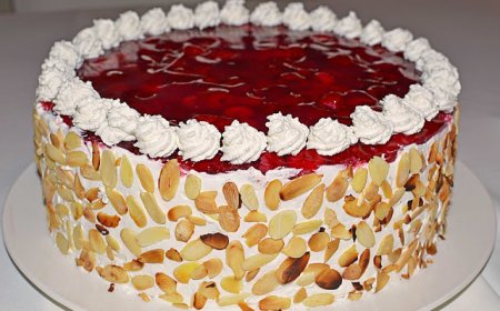 Himbeer-Quark Sahnetorte