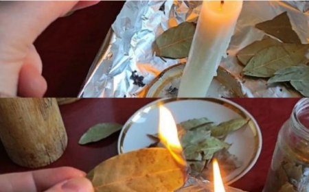 Lorbeerblätter zu Hause verbrennen