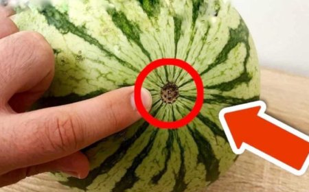 Wenn Ihnen dieses Detail an Ihrer Wassermelone auffällt, kaufen Sie sie nicht: Alle fallen immer wieder darauf herein