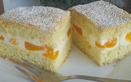 Mandarinen – Quark – Schnitten