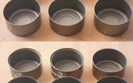 Werfen Sie Thunfischdosen nicht weg, sie sind zu Hause Gold wert: So verwenden Sie sie wieder