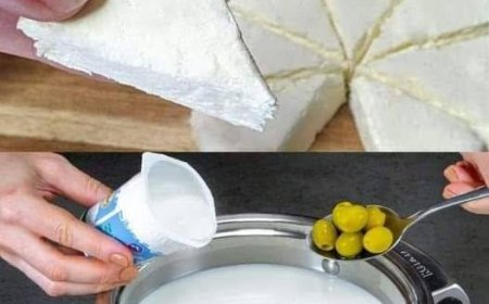 1 Liter Milch, 1 Joghurt und eine halbe Zitrone reichen aus, um den besten hausgemachten Käse zuzubereiten