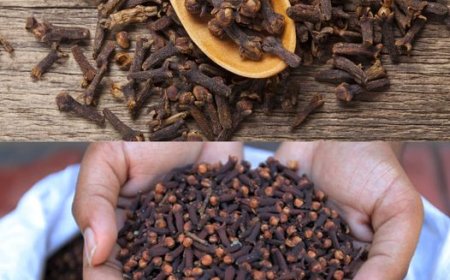 Alle Frauen sollten diese 7 Nelken-Tipps kennen