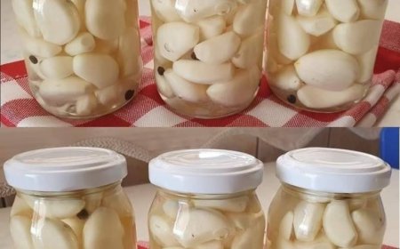 Knoblauch 1 Jahr lang immer frisch und unversehrt: Diesen Trick in der Küche kennen nur Köche