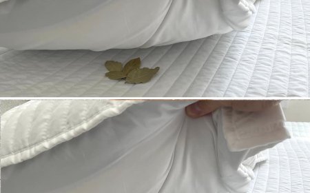 Lorbeerblätter unters Kopfkissen legen: Der Trick, der ein häufiges Problem löst