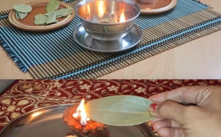 Lorbeerblätter zu Hause verbrennen, überraschend, was 10 Minuten später passiert