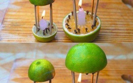 Mit diesem Mittel parfümieren Sie nicht nur Ihr Zuhause, sondern die Mücken kommen auch nie wieder zurück