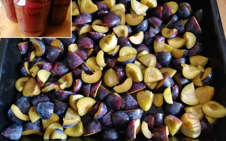 Selbstgemachtes Pflaumenmus aus dem Backofen – ohne Aufwand