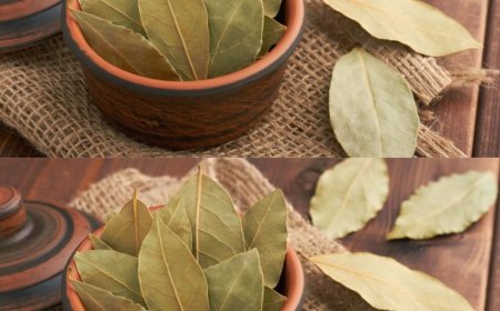 Lorbeerblätter: Nur 3 reichen aus, um Ihr ganzes Zuhause zu parfümieren. Tun Sie das einfach