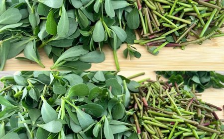 Es ist keine schlechte Pflanze, es ist Gold wert: Hier ist der Grund