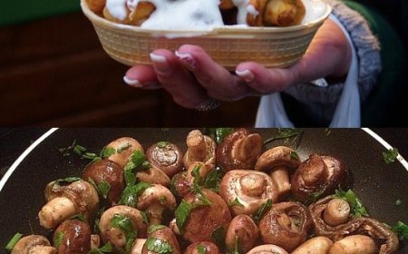 Champignons in leckere Knoblauch Rahmsoße, unglaublich lecker