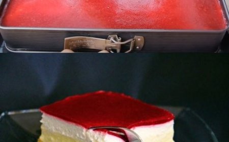 himbeer puddingcreme schnitten kuchen ohne backen