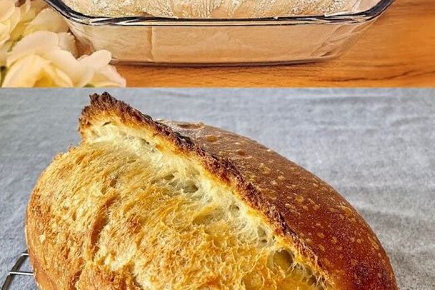 Hausbrot - Rezepte Hausbrot - Rezepte