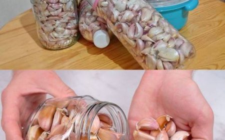 Knoblauch ist ein Jahr lang immer frisch und unversehrt: Diesen Trick kennen nur Köche in der Küche
