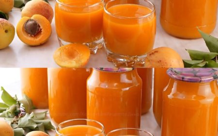 Aprikosensaft für den Winter zu Hause ohne Entsafter! Natürlicher Aprikosennektar