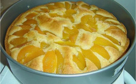 Pfirsich Vanillekuchen – sehr saftig