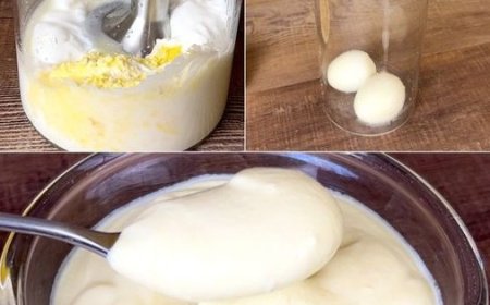 Mayonnaise in 2 Minuten zubereitet