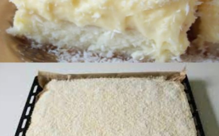 KOKOSKUCHEN MIT VANILLEPUDDING, BLITZSCHNELL & LECKER