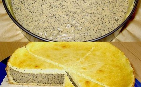 Der BESTE Mohnkuchen saftig und fluffig nach Omas Rezept