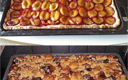 Zwetschgenkuchen vom Blech in 10 Minuten im Ofen