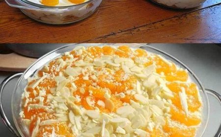 Käse Sahne Dessert, das wirt Du lieben wooow