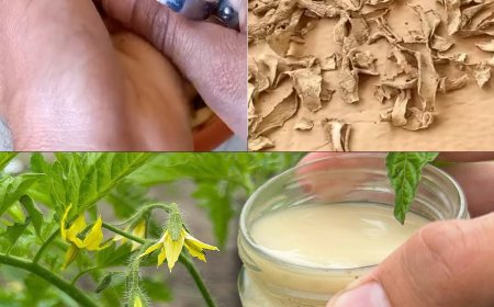 Beleben Sie Ihren Garten auf natürliche Weise: Nutzen Sie die Kraft von Kartoffelschalen