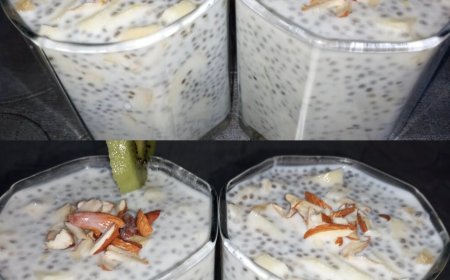 Chia-Pudding das beste Dessert zum abnehmen und es schmeckt sooo gut