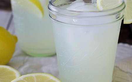 Meine zuckerfreie Limonade ist die beste der Welt, alle lieben sie