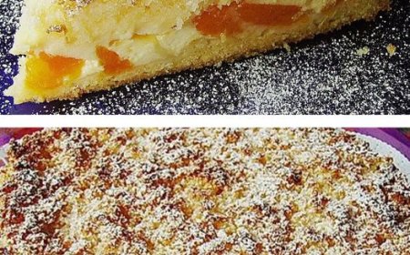 Mandarinen Kokos Kuchen