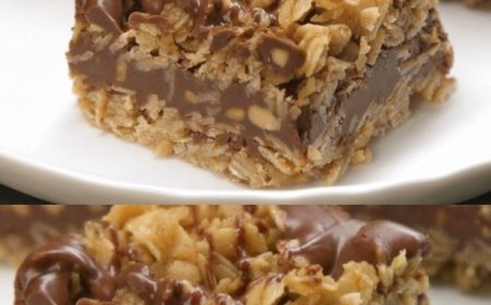 Leckere Schoko Schnitte mit Haferflocken ohne backen