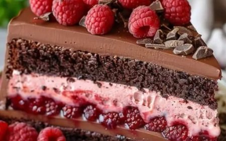 Himbeer Schokoladen Mousse Kuchen