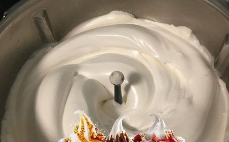 Sandy-Eis von Burger King mit Thermomix