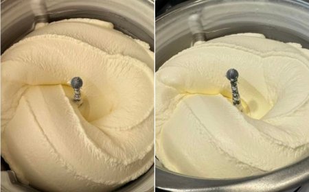 Vanilleeis mit Kondensmilch mit Thermomix