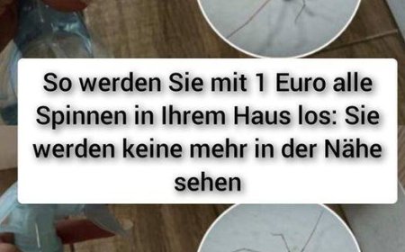 toller Tipp