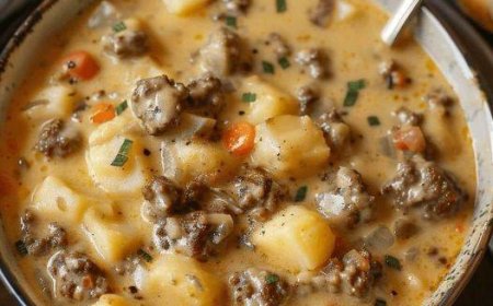 Hamburger Suppe mit 500g Hackfleisch macht lange satt, schnell zubereitet