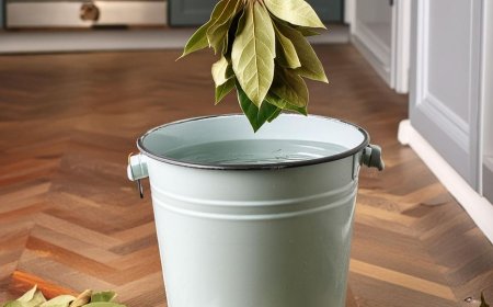 Geben Sie Lorbeerblätter in Ihr Wischwasser. Hier erfahren Sie, warum. Das werden Ihnen Reinigungsexperten niemals sagen
