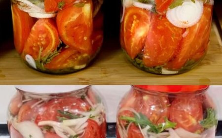 Tomaten pflanzen. Was füge ich in die Löcher hinzu, damit die Tomaten gut wachsen