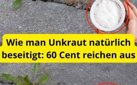 Wie man Unkraut natürlich beseitigt: 60 Cent reichen aus