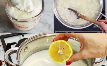 Hausgemachten Käse mit Zitrone und Milch herstellen