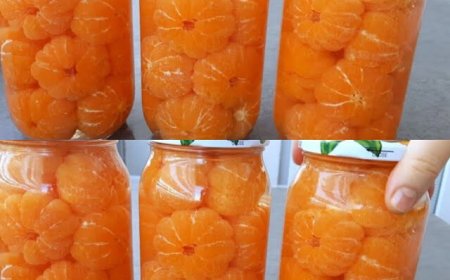 Der einfachste Weg, Mandarinen das ganze Jahr über frisch zu halten