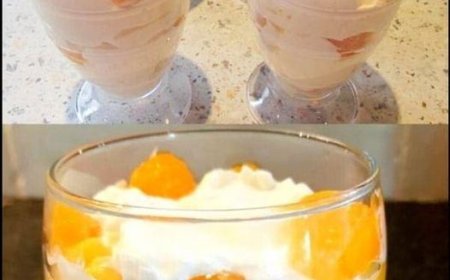 Pudding Dessert mit 300 g Quark und 1 Dose Mandarinen
