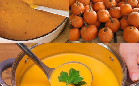 Schnelles und leckeres 30-Minuten-Kürbissuppenrezept