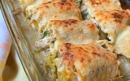 Cremige Hühnchen-Alfredo-Lasagne-Rollen