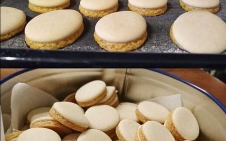Anisplätzchen, die sind absolut Perfekt