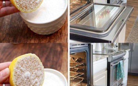 So reinigen Sie den Backofen in 5 Minuten