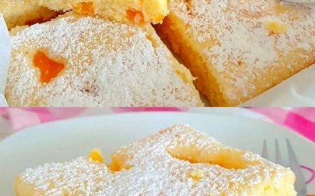 Buttermilchkuchen mit Mandarinen die einfach jeder liebt